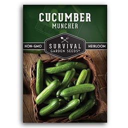 1 Pack Muncher Cucumber Seed for Planting - Packet with Instructions to Grow Burpless Slicing Cucumbers in Your Home Vegetable Garden - Non-GMO Heirloom Variety - Mini Cucumber -Survival Garden Seeds image