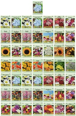 Set of 50 Flower Seed Packets! Flower Seeds in Bulk, 15 or More Varieties Available! image