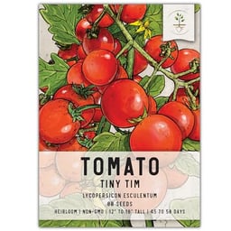 Seed Needs, Tiny Tim Tomato Seeds - 80 Heirloom Seeds for Planting Lycopersicon esculentum - Miniature Determinate Non-GMO & Untreated, Grows 1' Tall (1 Pack) image