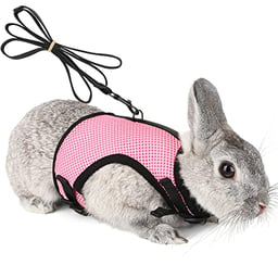 Pettom Bunny Rabbit Harness with Stretchy Leash Cute Adjustable Buckle Breathable Mesh Vest Harness and Leash Set for Kitten Small Pets Holland Lop Bunnies Walking (S(Chest:9.8-12.5 in)) image