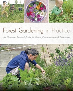 Forest Gardening in Practice: An Illustrated Practical Guide for Homes, Communities and Enterprises image