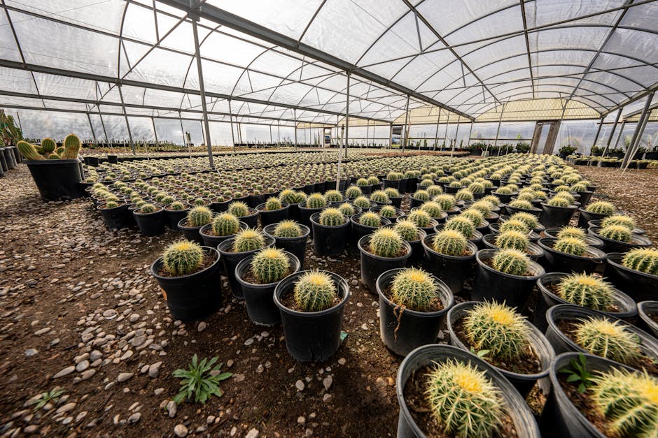 Image for Ultimate Guide to Cultivating Lophophora Williamsii Seeds