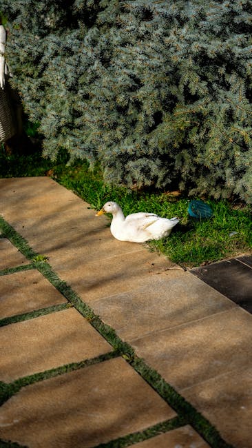 Image for How to Keep Birds Out of Your Garden: Strategies for a Bird-Friendly Environment