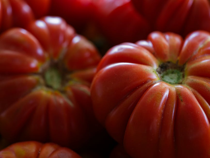 Image for Optimal Timing for Planting Vegetables in Michigan: A Comprehensive Guide