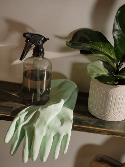 Image for How to Clean Garden Gloves: A Step-by-Step Guide