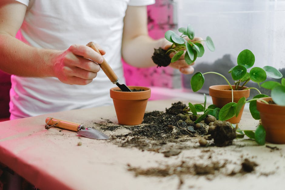 Image for The Importance of Using a Garden Organizer: Benefits, Types and Tips