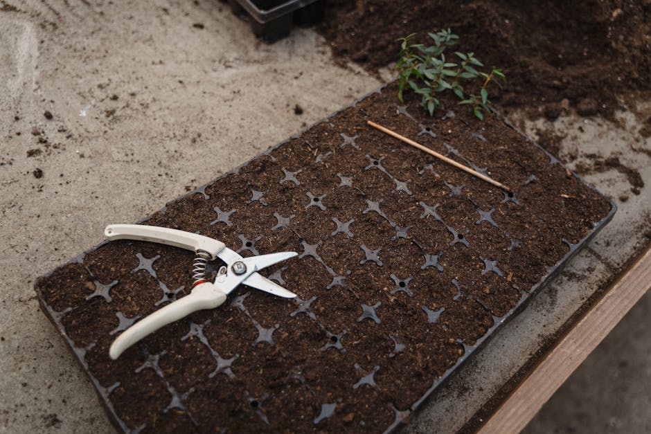 Image for Unlocking the Secrets of Miracle-Gro Hose Feeder: A Gardener's Guide