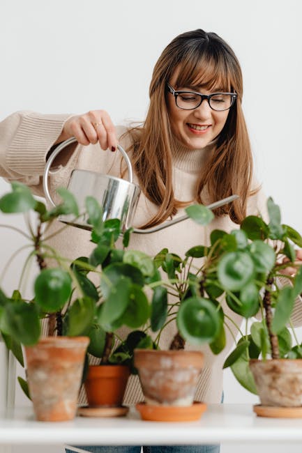 Image for How to Water Your Garden Without a Hose: Effective Methods