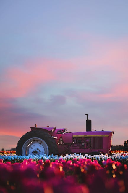 Image for Guide to the Garden Grove Strawberry Festival: Dates, History, and Attractions