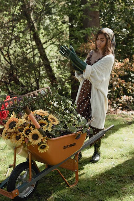 Image for How to Effectively Remove Corn Stalks from Your Garden: A Step-by-Step Guide