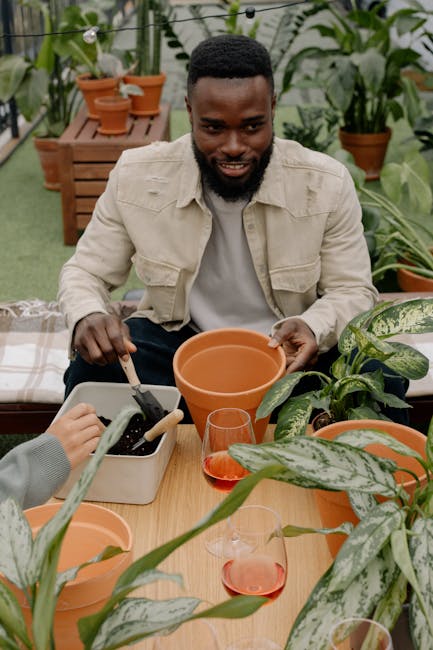 Image for A Beginner's Guide to Using Wooden Vegetable Planter Boxes