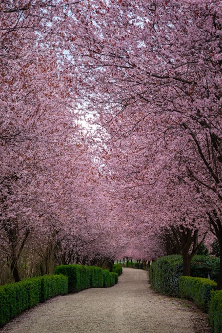 How to Build and Benefit from a Raised Wood Garden