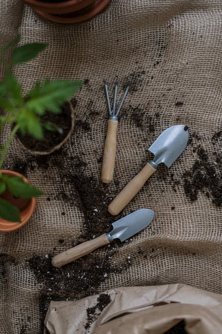 The Ultimate Guide to Choosing and Using a Vegetable Garden Planning Tool