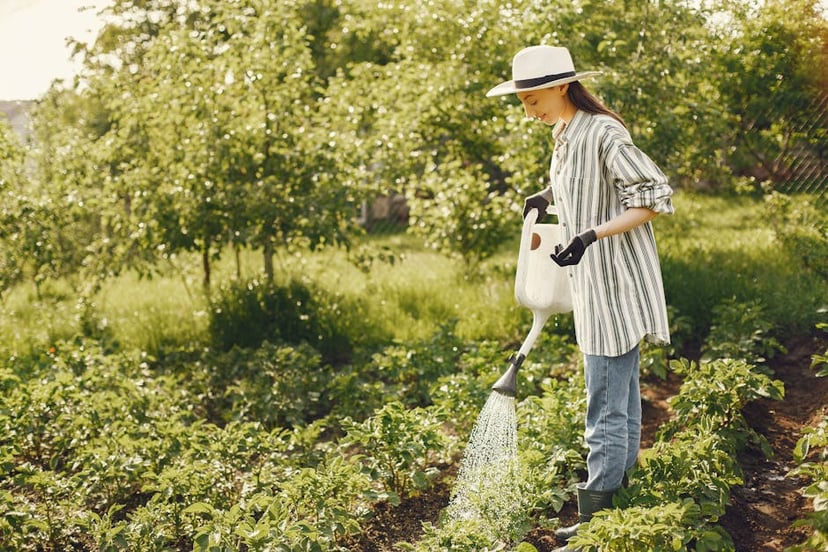 Optimizing Vegetable Garden Watering with a Soaker Hose: A Complete Guide