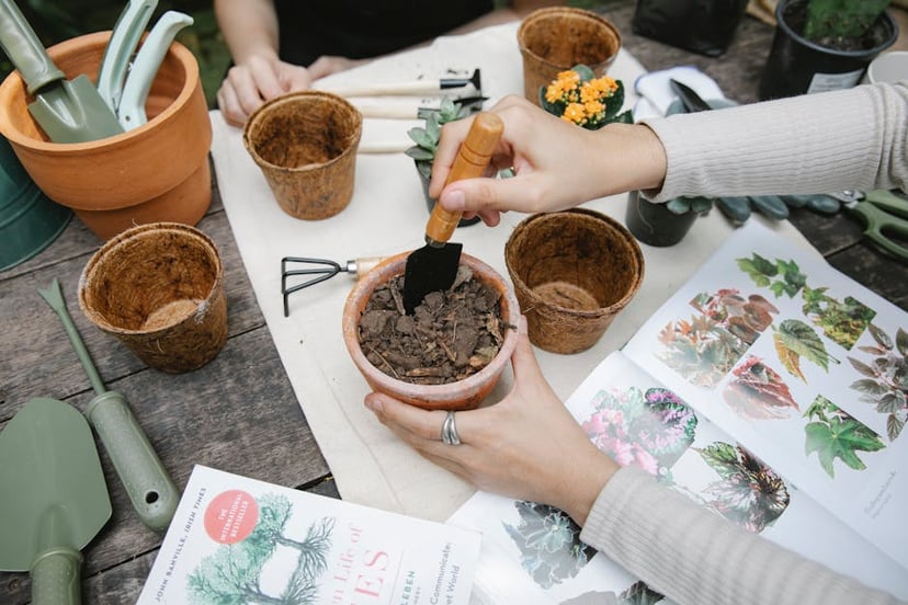 Budget-Friendly Tips for Filling a Raised Garden Bed