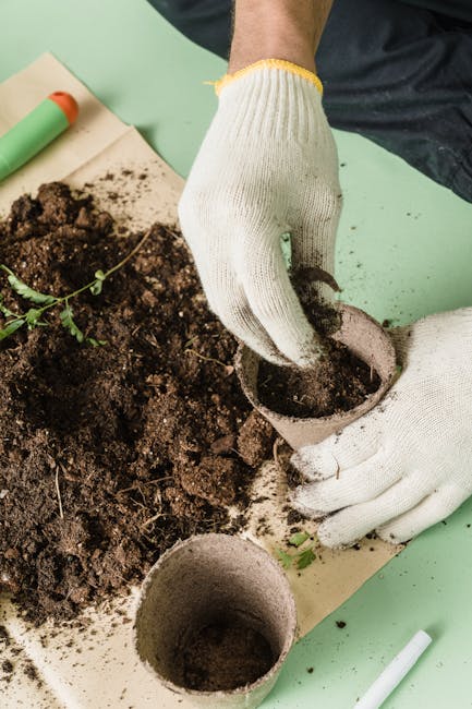 Cheap Ways to Fill Garden Beds: Tips and Tricks for a Bountiful Harvest